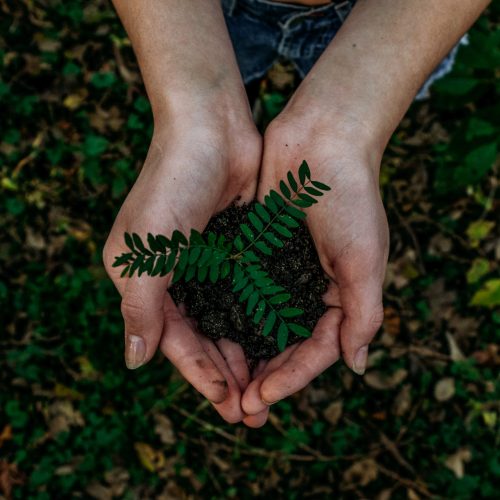 Improving your business with sustainability and operational solutions