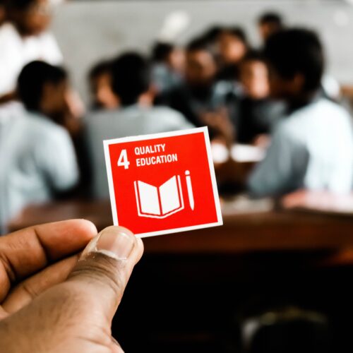 What does sustainability mean in higher education?