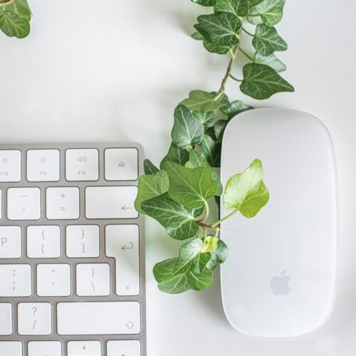 Letting Sustainability Drive Your Design